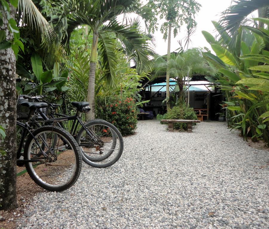 Cabinas Tropicales Puerto Jiménez Exterior foto
