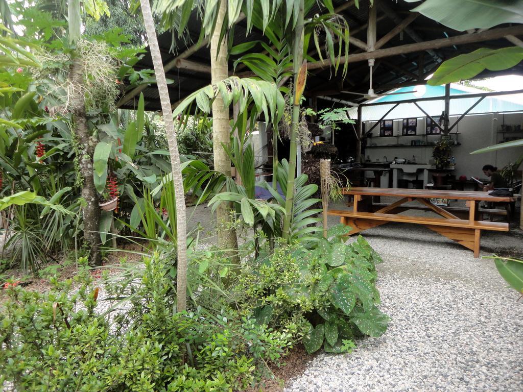 Cabinas Tropicales Puerto Jiménez Habitación foto