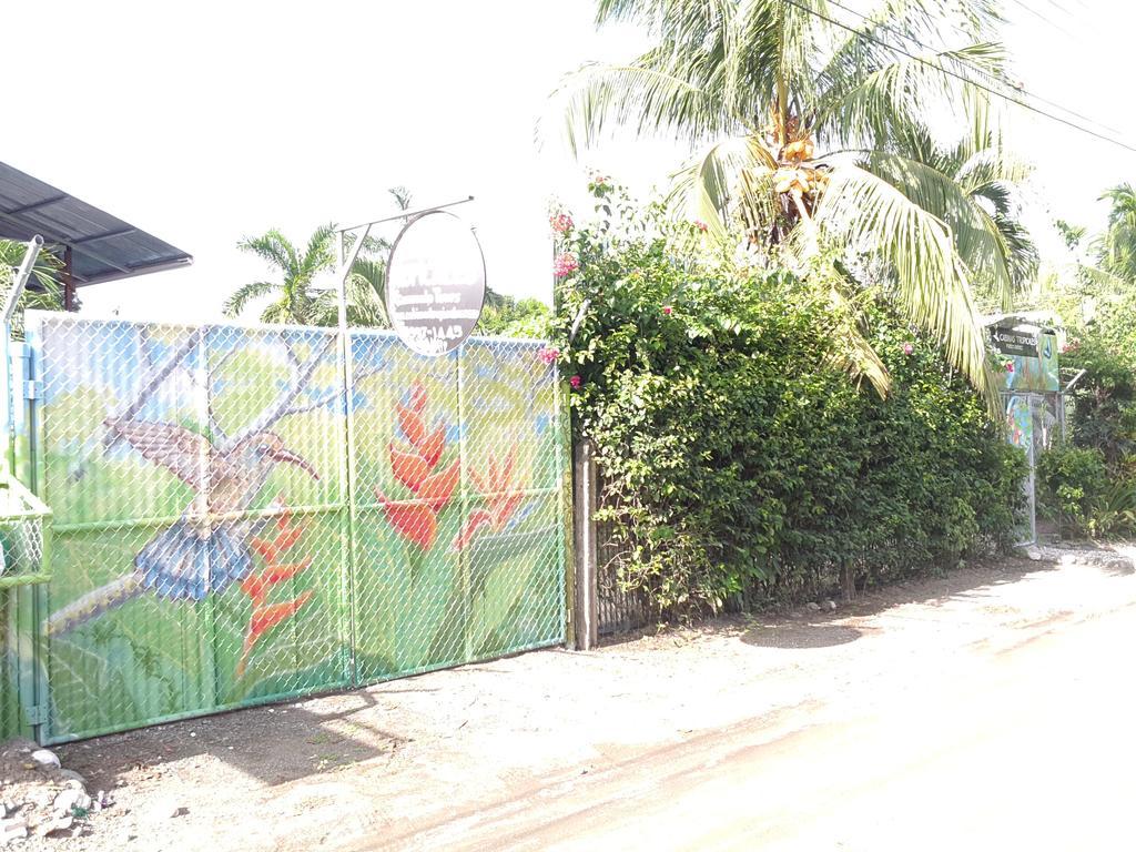 Cabinas Tropicales Puerto Jiménez Exterior foto