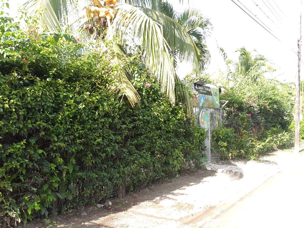 Cabinas Tropicales Puerto Jiménez Exterior foto